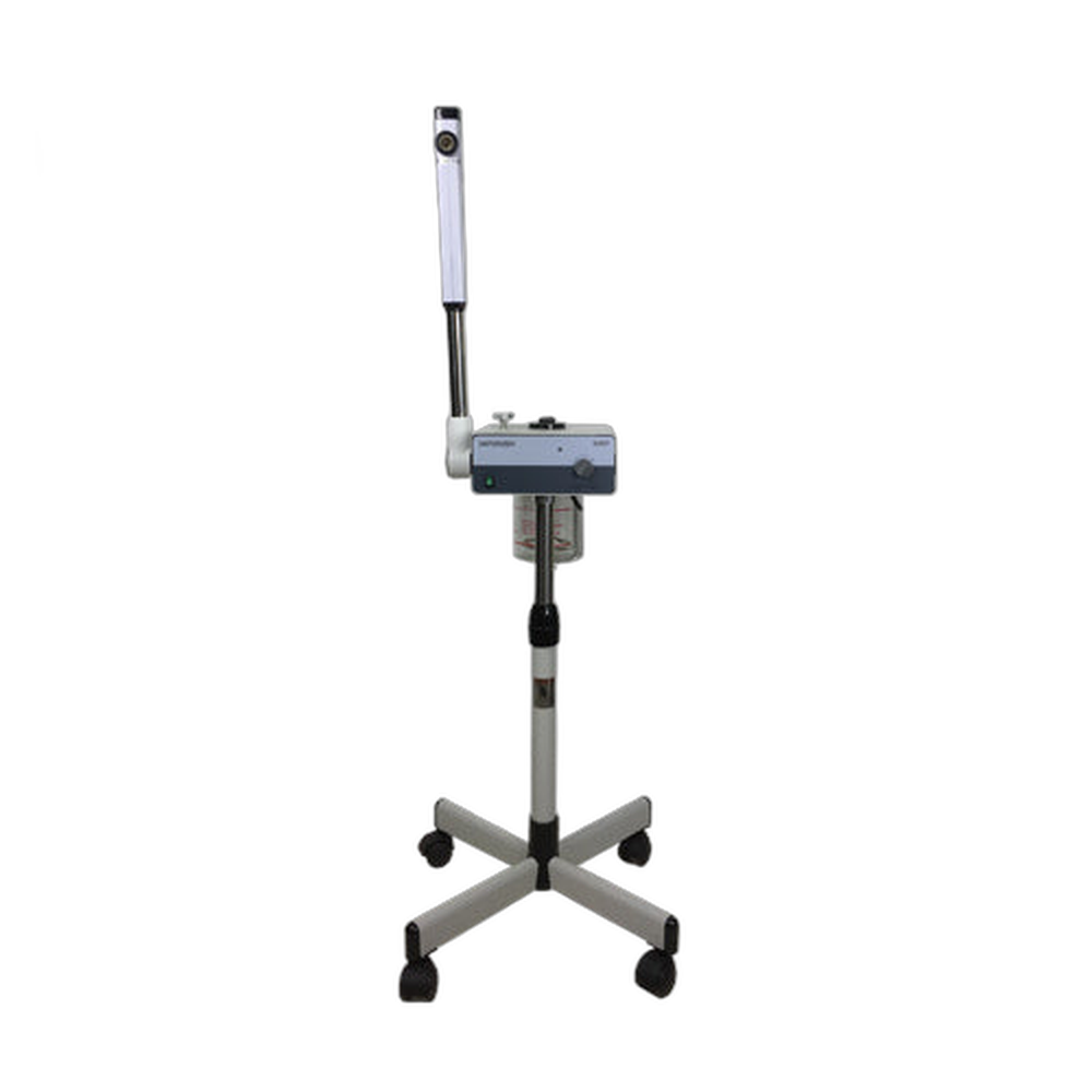 Facial Steamer D201